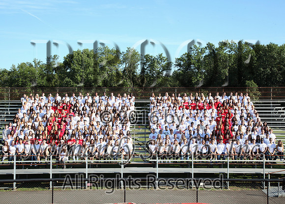 MNP_04_srg