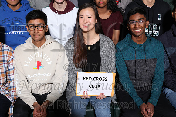 RDG_018_clubs