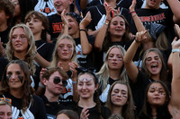 SVL_fans_13