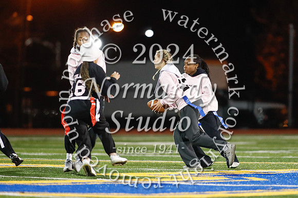 CHS_powder puff_50