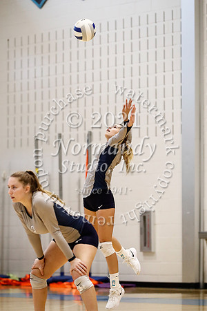 WMC_55_vb-g