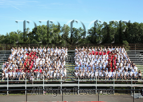 MNP_03_srg
