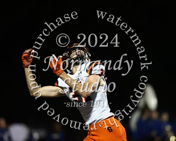 SVL_fb_43