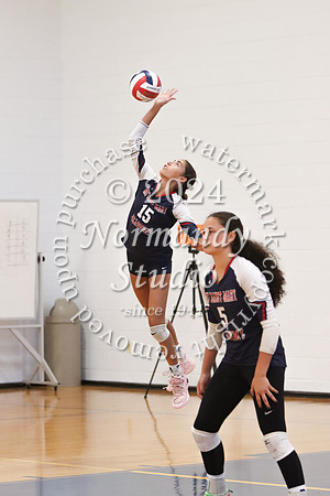 MSM_vb-g_57