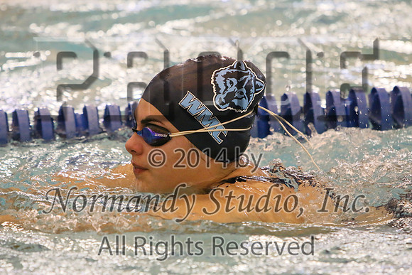 WMC_194_sw-g