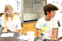 WHS_slc_012