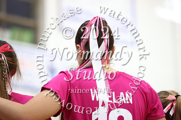 WHS_vb-pink out_51