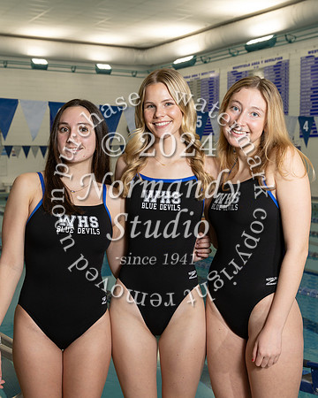 WHS_sw-g-t_03