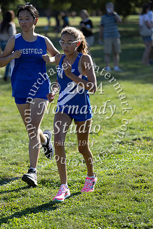 WHS_cc-g_41