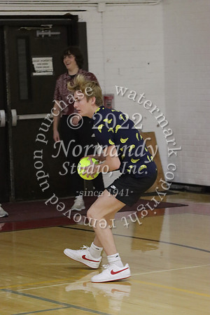BER_dodgeball_071