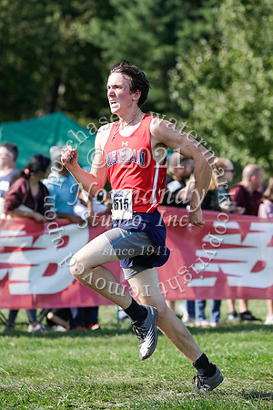 WMM_07_cc-b