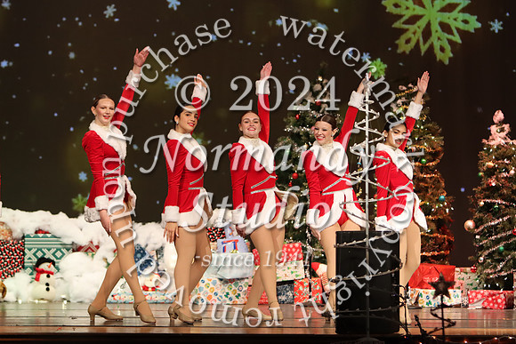 LIB_home for the holidays_71