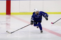 WHS_ih-g_14