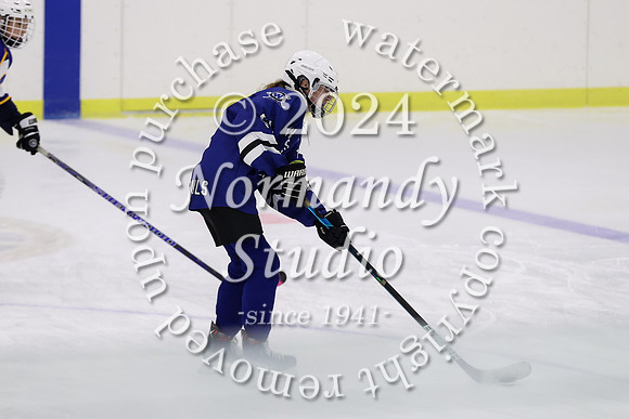 WHS_ih-g_13
