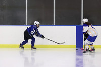 WHS_ih-g_10