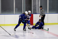WHS_ih-g_12