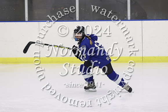 WHS_ih-g_20