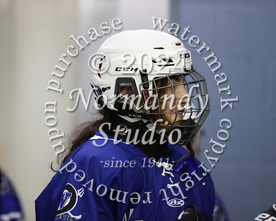 WHS_ih-g_02