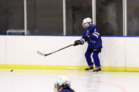 WHS_ih-g_08