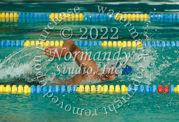 MON_sw-b_40
