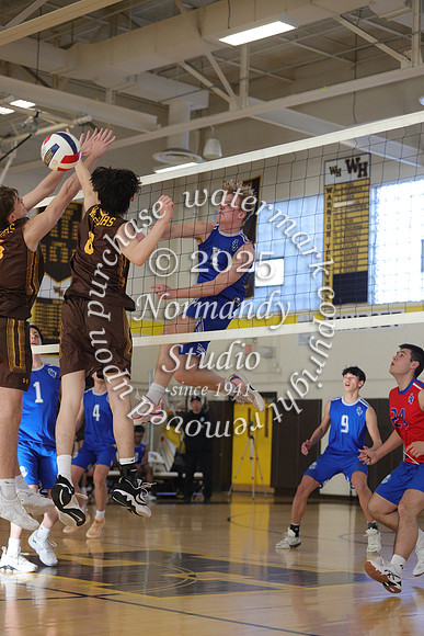 SPF_vb-b_48