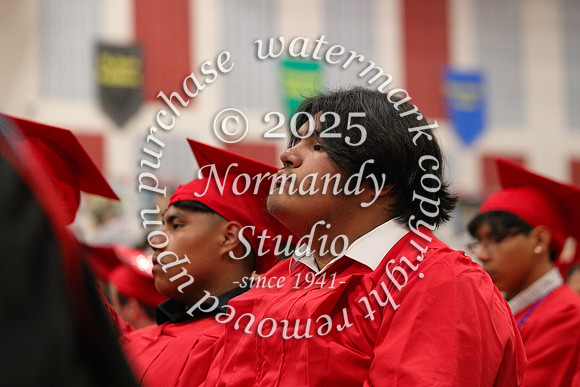 LIB_candids_22