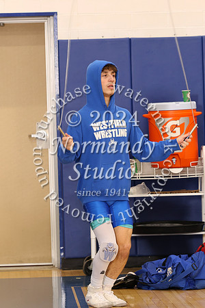 WHS_wr_059