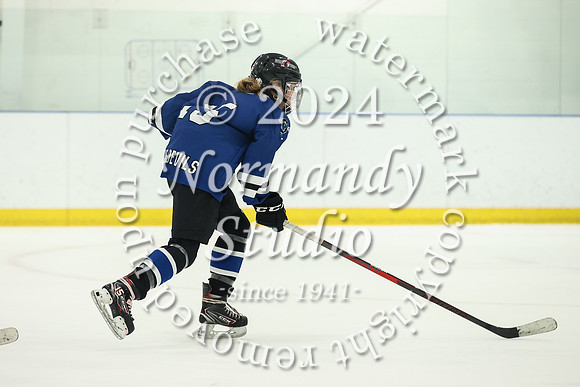 WHS_ih-g_38