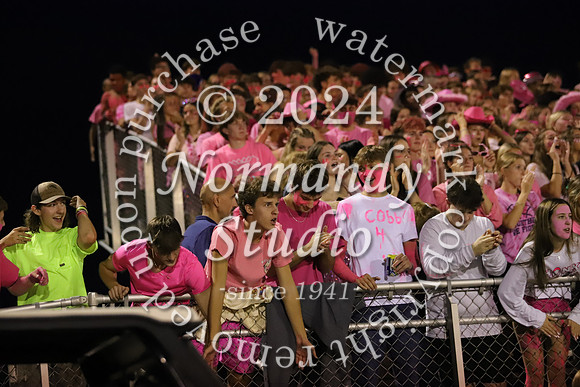 DVH_fans_39