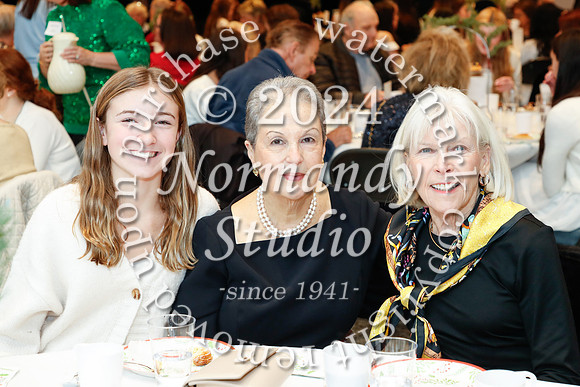 MSM_gp tea_10