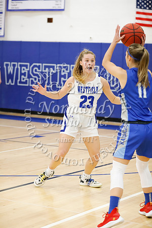 WHS_72_bb-g