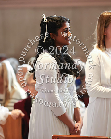 MSM_tree lighting_19