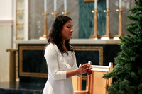 MSM_tree lighting_17