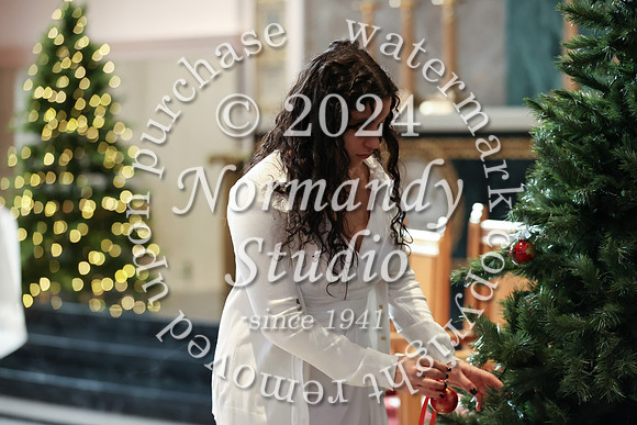 MSM_tree lighting_20