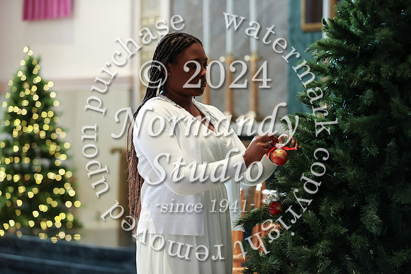 MSM_tree lighting_23
