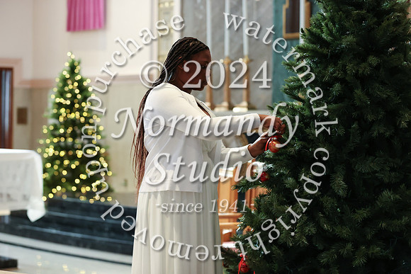 MSM_tree lighting_24