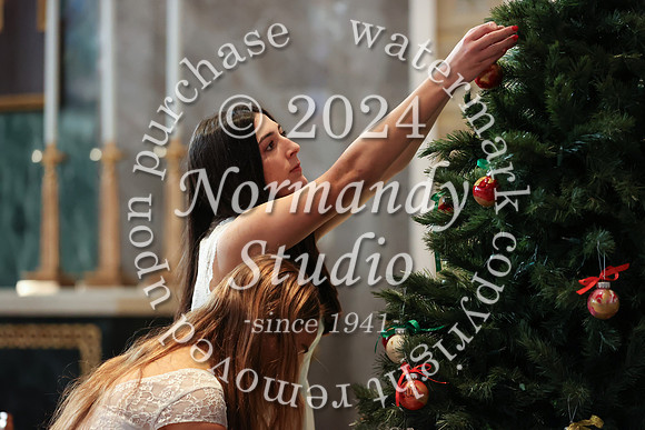 MSM_tree lighting_32
