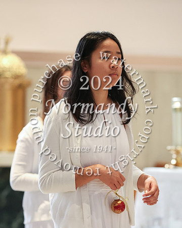 MSM_tree lighting_37