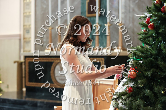 MSM_tree lighting_47