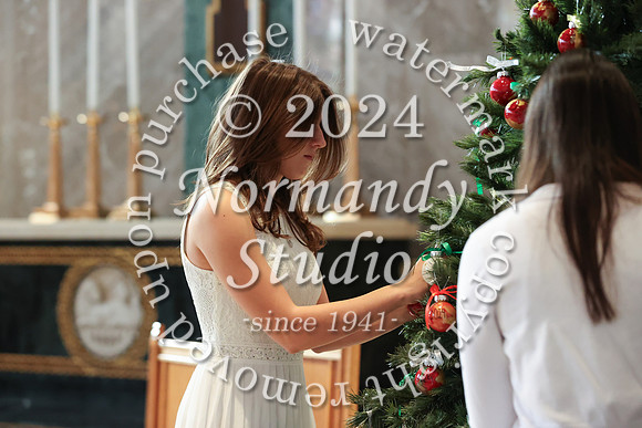 MSM_tree lighting_49