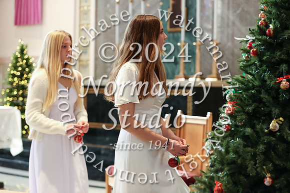 MSM_tree lighting_51