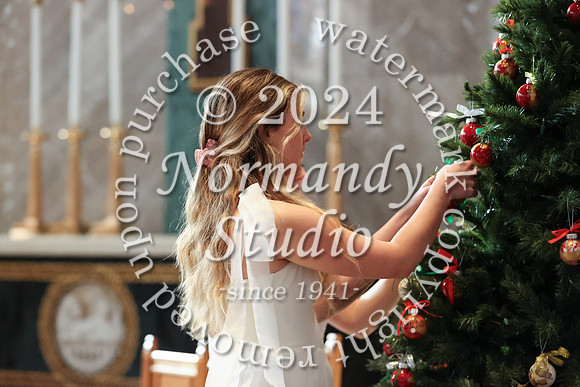 MSM_tree lighting_53