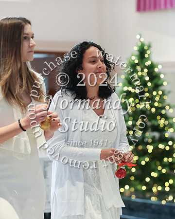MSM_tree lighting_63