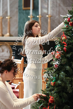 MSM_tree lighting_60