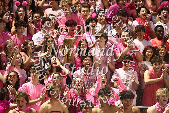SVL_fans_27