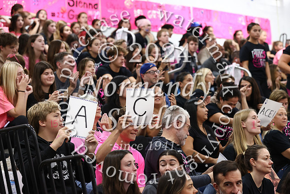 WHS_vb-pink out_70