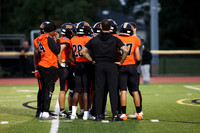 SVL_fb_06