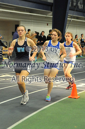 WMC_126_wt-g