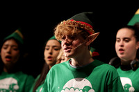LIB_elf play_20