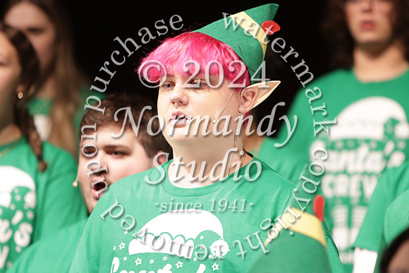 LIB_elf play_25